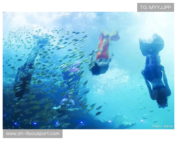 水下浮潜体验活动，探索海底世界奇观，海底世界潜水视频